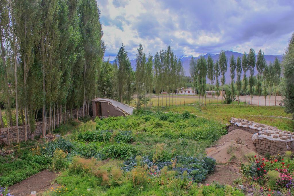 Tsetan Guest House Leh Exteriör bild