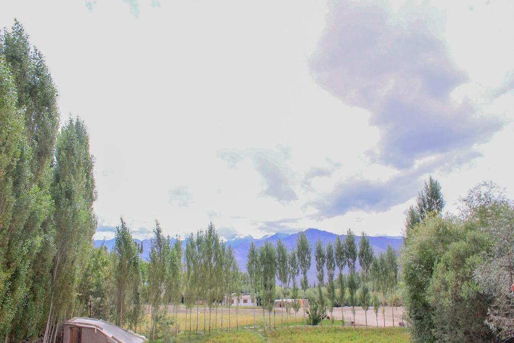Tsetan Guest House Leh Exteriör bild